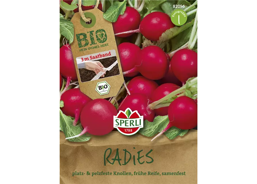 Radieschen 'Rudolf'