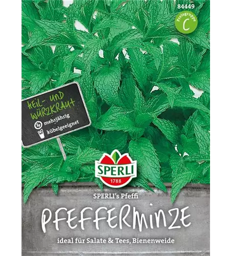 Pfefferminze 'Pfeffi'