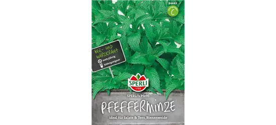 Pfefferminze 'Pfeffi'