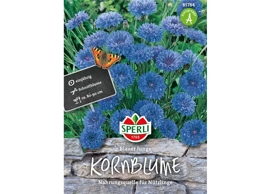 Kornblume 'Blauer Junge'