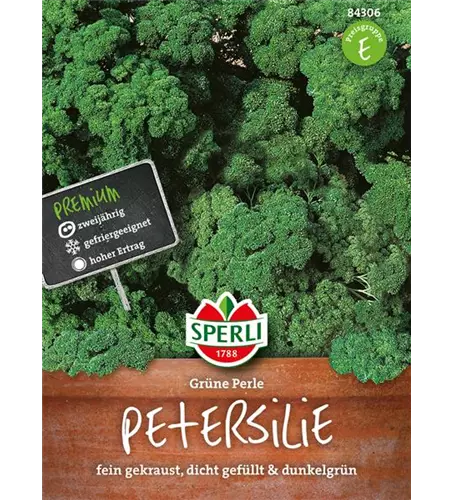 Krause Petersilie 'Grüne Perle'