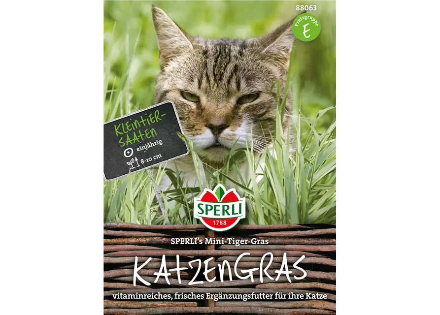 Katzengras