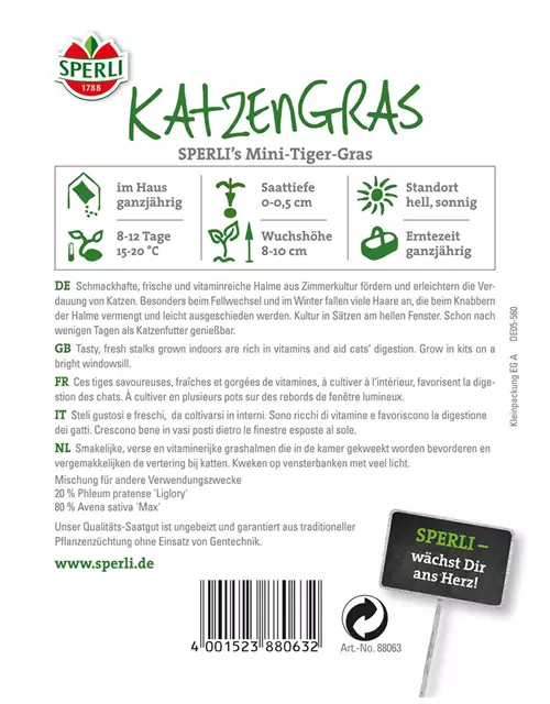 Katzengras