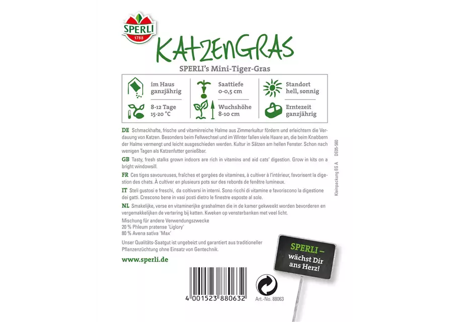 Katzengras