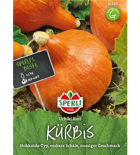 Kürbis 'Uchiki Kuri'