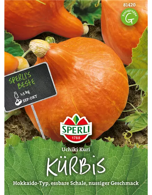 Kürbis 'Uchiki Kuri'