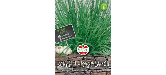 Schnittknoblauch 'Knolau'