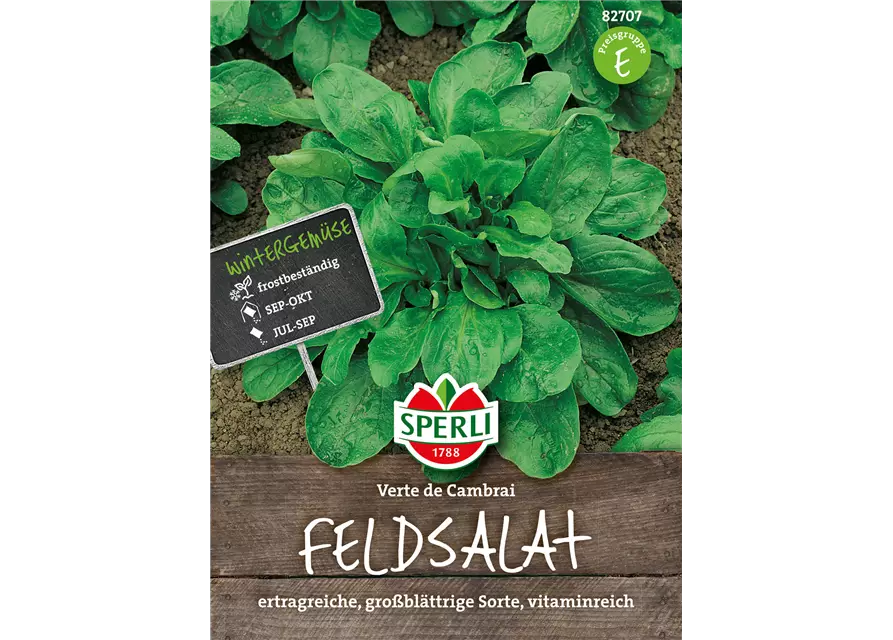 Feldsalat 'Verte de Cambrai'