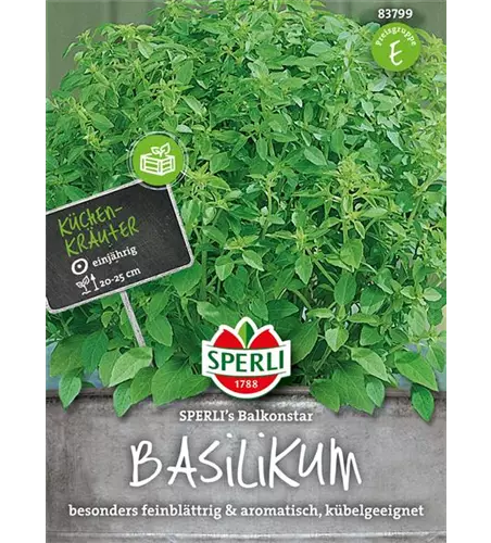 Garten-Basilikum 'Balkonstar'