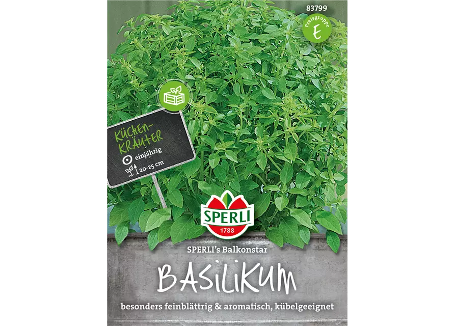 Garten-Basilikum 'Balkonstar'