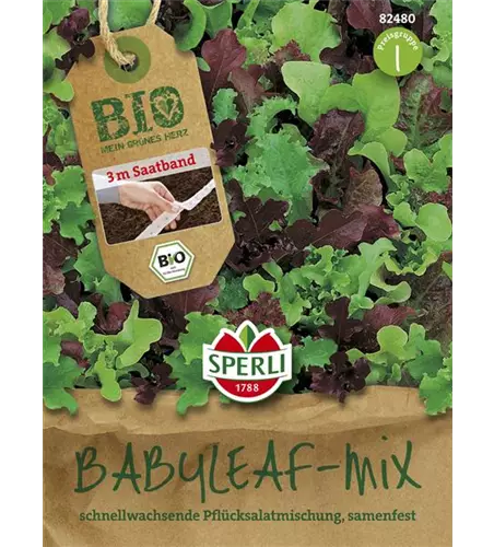 Babyleaf-Salat