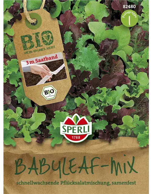 Babyleaf-Salat