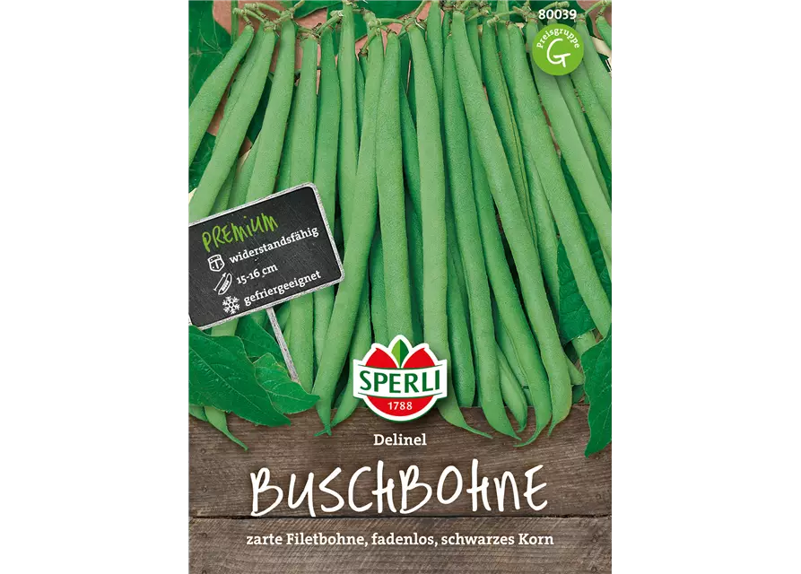 Busch-Bohne 'Delinel'