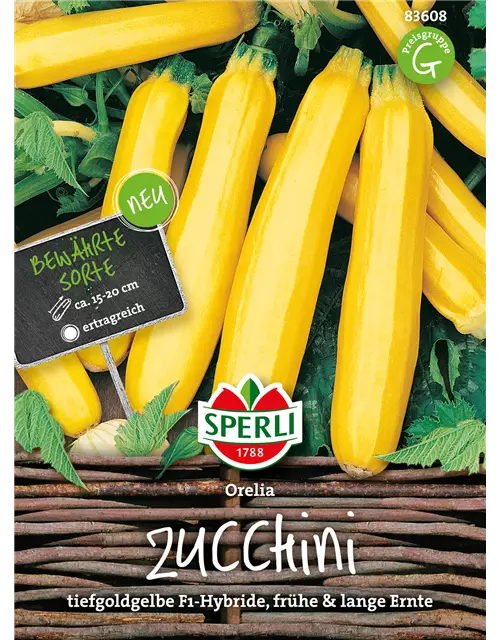 Zucchini 'Orelia'