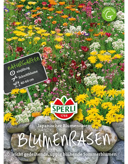 Japanischer-Blumenrasen