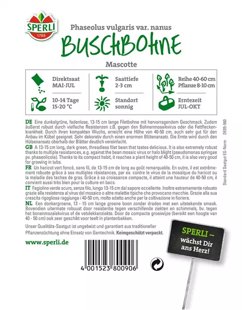 Buschbohne 'Mascotte'