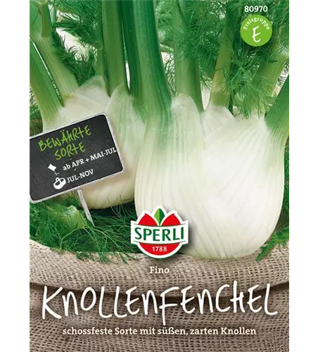 Knollenfenchel 'Fino'