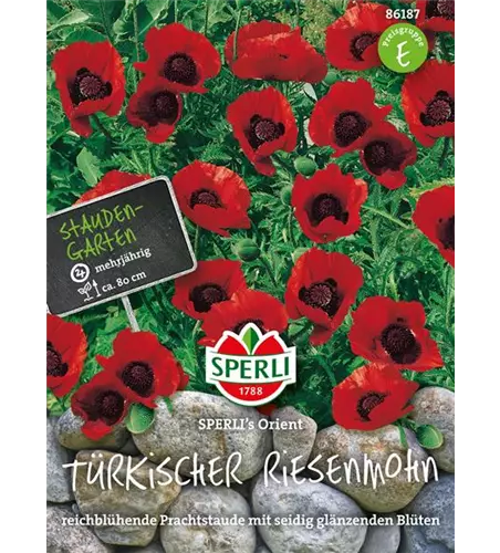 Türkischer Riesenmohn 'Orient'