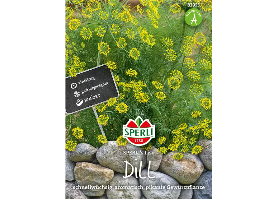 Dill 'Liso'