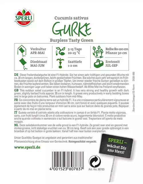 Gurke 'Burpless Tasty Green F1'