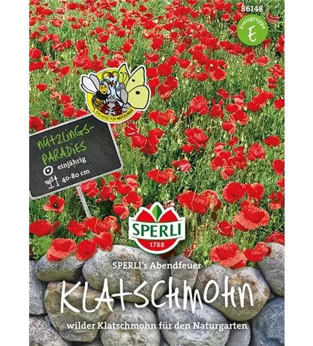 Klatsch-Mohn 'Abendfeuer'