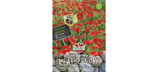 Klatsch-Mohn 'Abendfeuer'