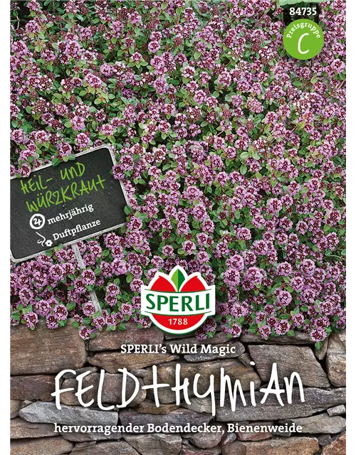 Feldthymian 'Wild Magic'