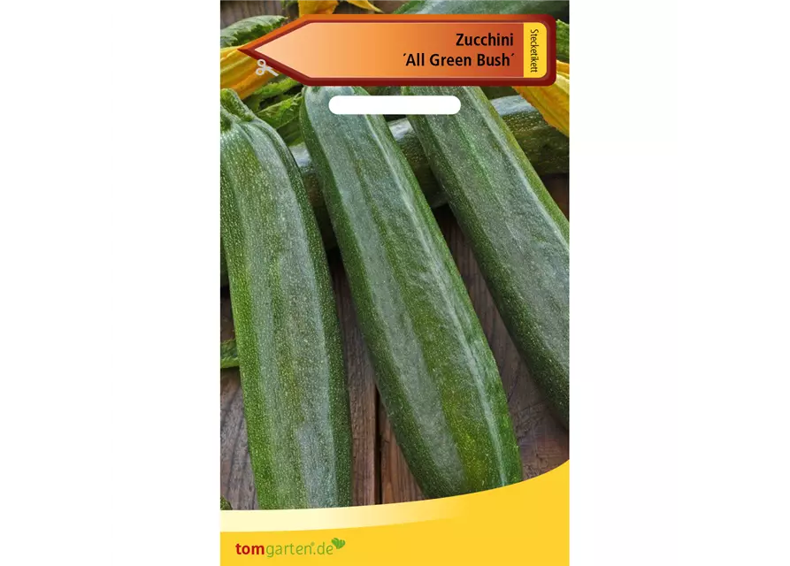 Zucchini 'All Green Bush'