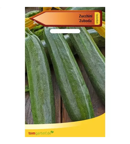 Zucchini 'Zuboda'