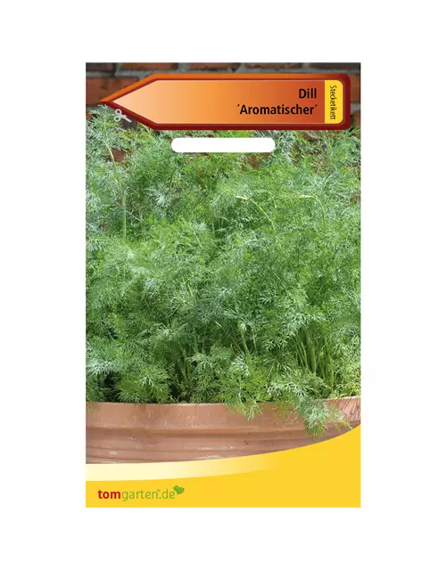 Dill 'Aromatischer'