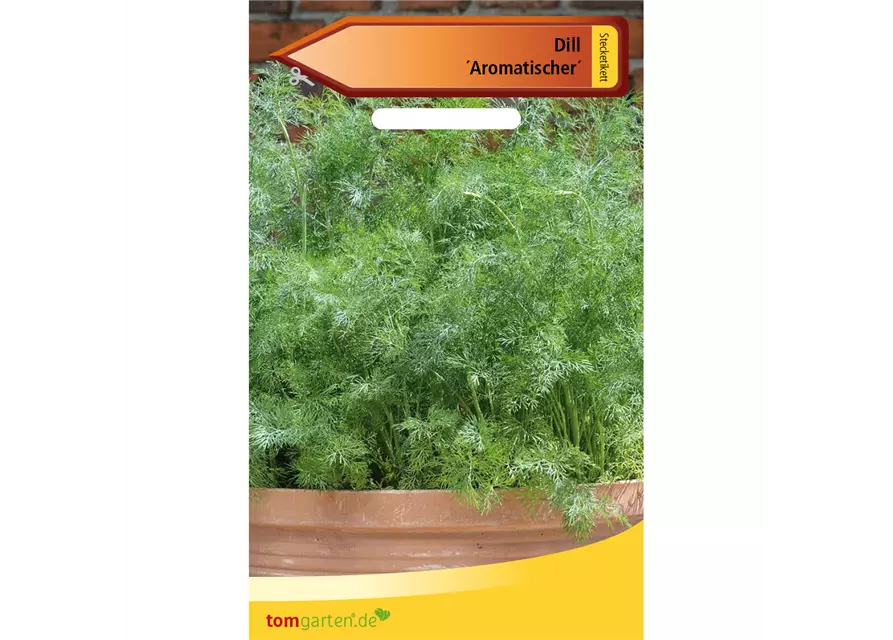 Dill 'Aromatischer'