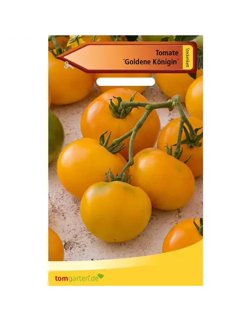 Tomate 'Goldene Königin'