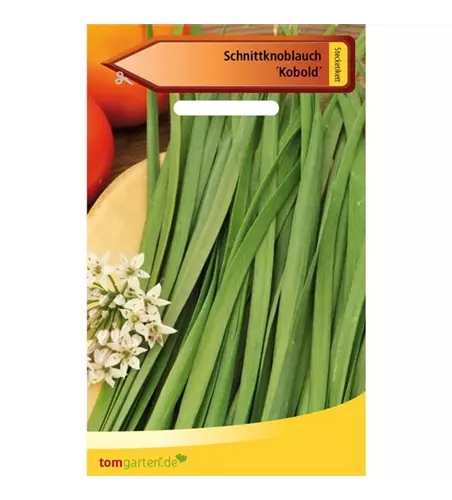 Schnittknoblauch 'Knobold'