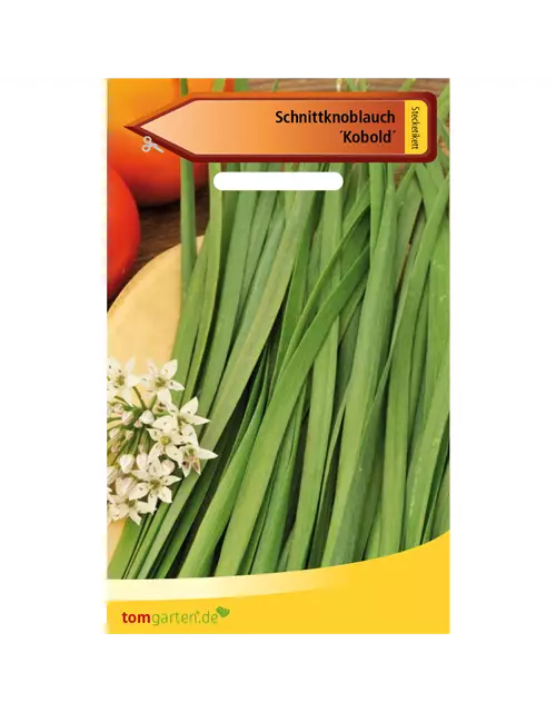 Schnittknoblauch 'Knobold'