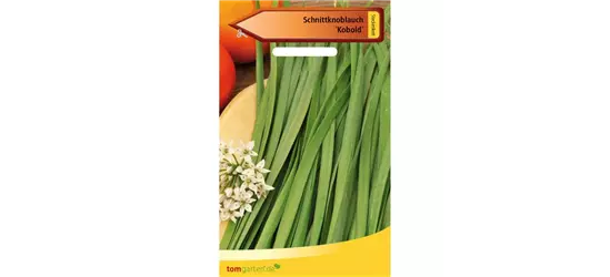 Schnittknoblauch 'Knobold'