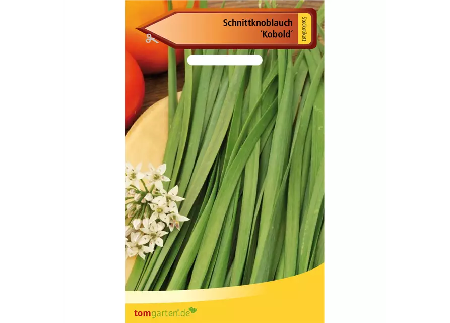 Schnittknoblauch 'Knobold'