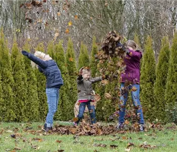 Spiel, Spaß und Sport: Der Garten als grünes Fitness-Studio