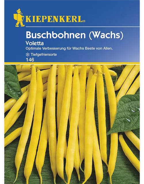 Buschbohnen Voletta