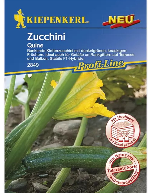 Zucchini Quine