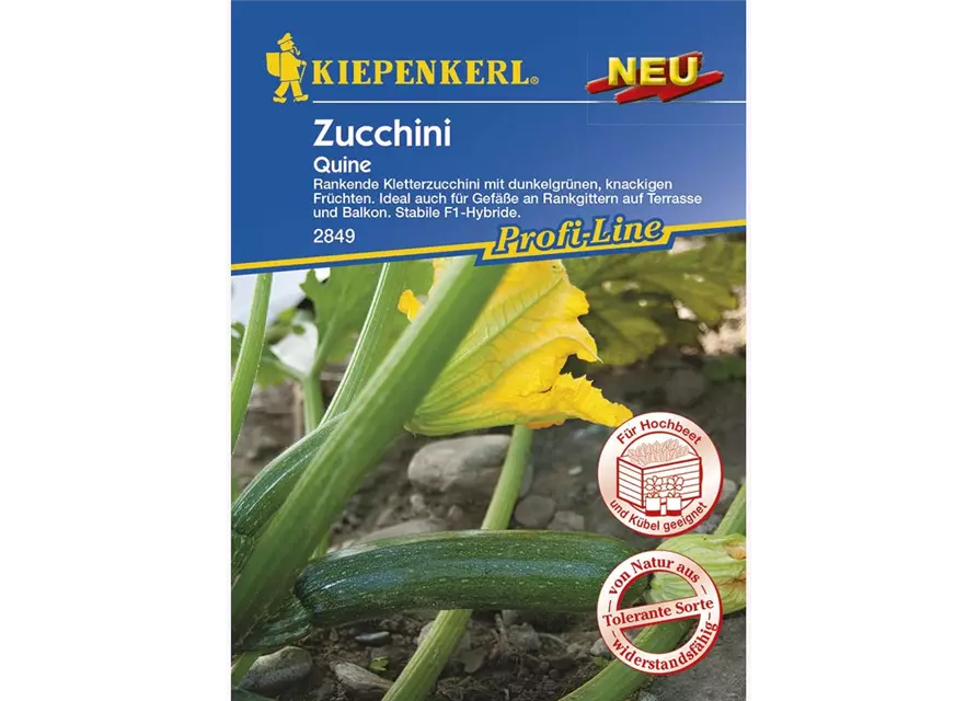 Zucchini Quine