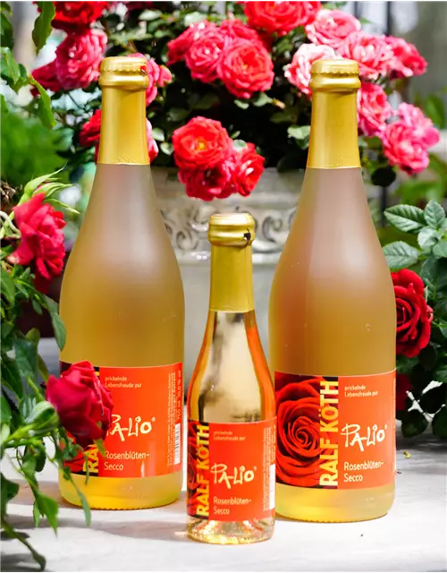 Palio Rosenblüten-Secco Piccolo