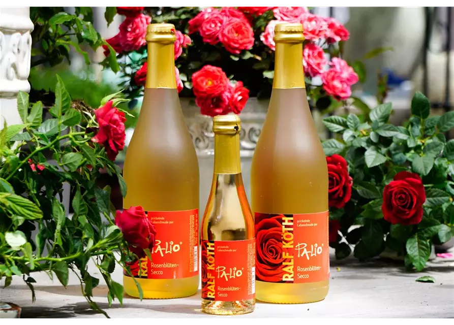 Palio Rosenblüten-Secco Piccolo