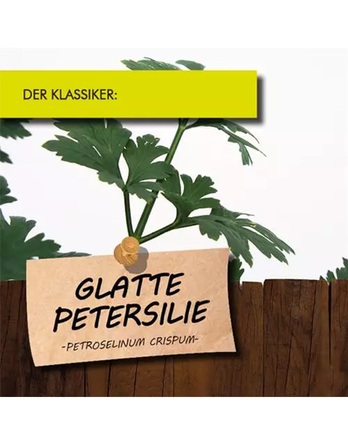 BIO Petersilie glatt