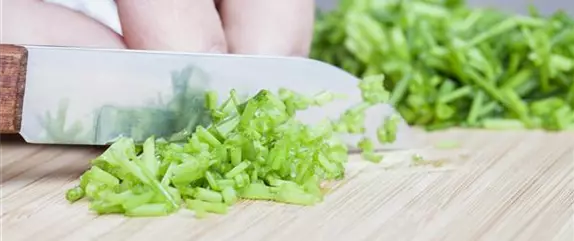 Kochen mit Kräutern aus dem Garten