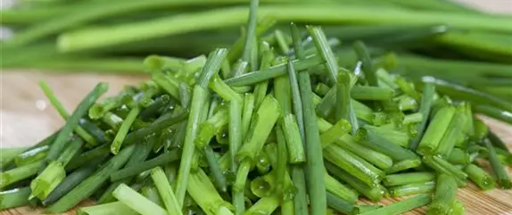 Kochen mit Kräutern aus dem Garten