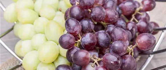 Warum Wein eigentlich aus Beeren gemacht wird