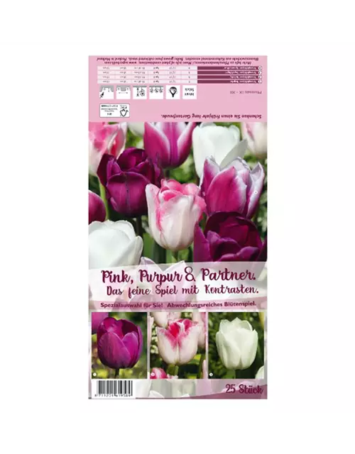 Tulpen-Mix 'Pink, Purpur & Partner'