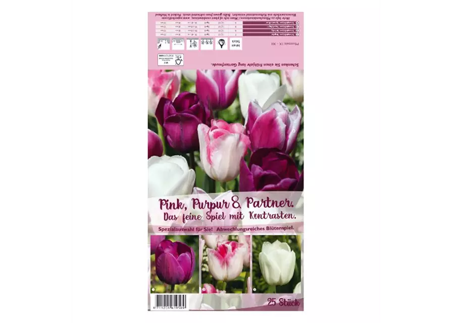 Tulpen-Mix 'Pink, Purpur & Partner'