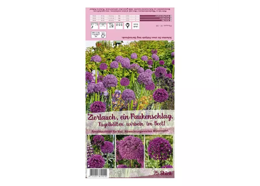 Zierlauch 'Paukenschlag'