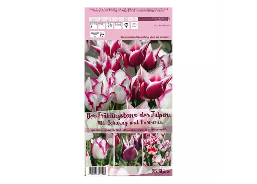 Tulpen-Mix 'Frühlingstanz der Tulpen'